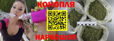 дживик Новозыбков