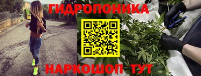 Альфа ПВП Азнакаево
