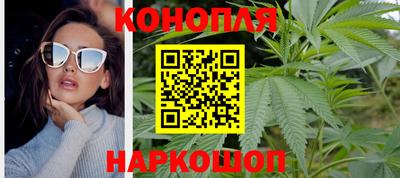 дживик Новозыбков