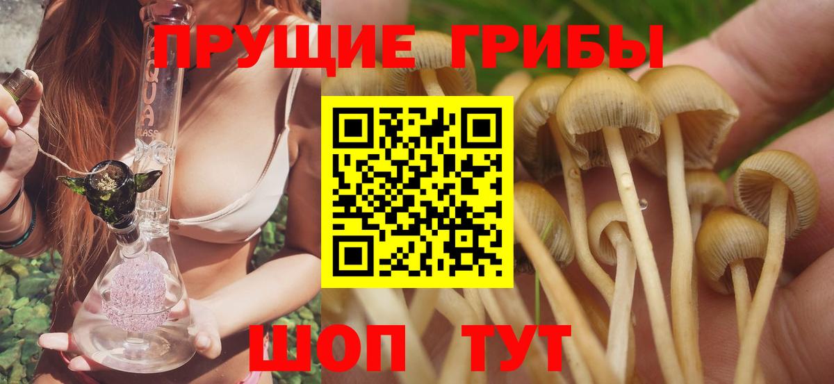 Псков  Псилоцибиновые грибы ЛСД  Вход с VPN 
