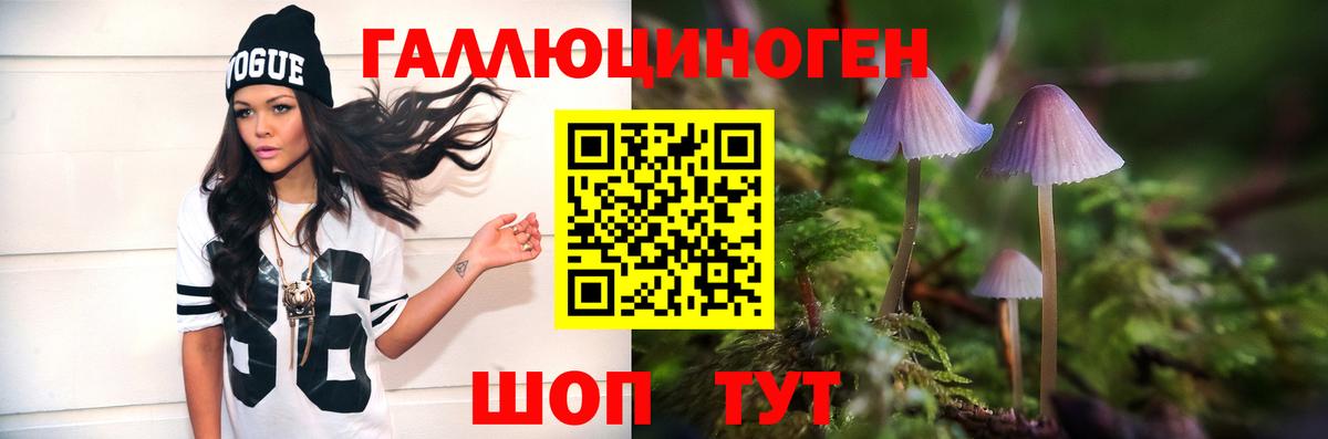 Галлюциногенные грибы Psilocybe Псков